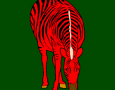 Desenho Zebra pintado por Sombra Vermelha