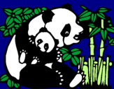 Desenho Mamã panda pintado por jean matheus a. 5c