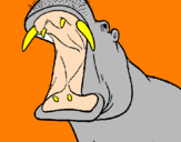 Desenho Hipopótamo com a boca aberta pintado por sandro