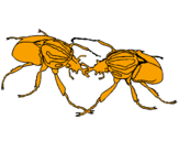 Desenho Escaravelhos pintado por Tiago