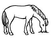 Desenho Cavalo a comer  pintado por RAFAEL
