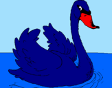 Desenho Cisne na água pintado por rafaela fut b.