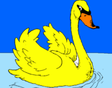 Desenho Cisne na água pintado por Sabrina Piol