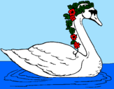 Desenho Cisne com flores pintado por GEDEÃO
