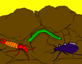 Desenho Vários insectos pintado por  misto