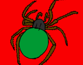 Desenho Aranha venenosa pintado por pedro augusto