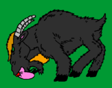 Desenho Cabra aborrecida pintado por pedro emanuel