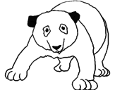 Desenho Urso panda pintado por lud