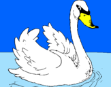 Desenho Cisne na água pintado por GEDEÃO