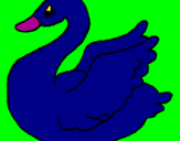 Desenho Cisne pintado por fer