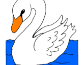 Desenho Cisne pintado por julia