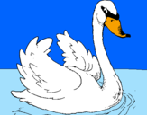 Desenho Cisne na água pintado por amanda fa do puffle