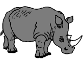 Desenho Rinoceronte pintado por gabriela