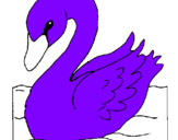 Desenho Cisne pintado por Sabrina helena