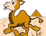 Desenho Camelo pintado por thamara