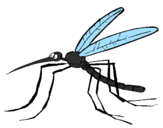 Desenho Mosquito pintado por lucas