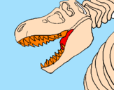 Desenho Esqueleto tiranossauro rex pintado por princesa