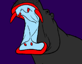 Desenho Hipopótamo com a boca aberta pintado por douglas