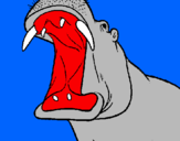 Desenho Hipopótamo com a boca aberta pintado por lucas
