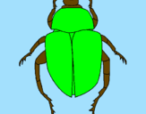 Desenho Escaravelho pintado por ARTHUR - 5 ANOS