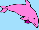 Desenho Golfinho contente pintado por apnmvr