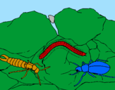 Desenho Vários insectos pintado por lucas