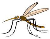 Desenho Mosquito pintado por CRIS