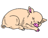 Desenho Porco a dormir pintado por julia  ariélly   bueno