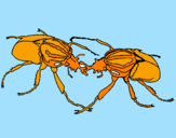Desenho Escaravelhos pintado por GEDEÃO