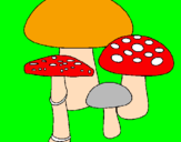 Desenho Cogumelos pintado por jackson