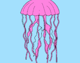 Desenho Medusa pintado por Adriana Gomes