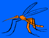 Desenho Mosquito pintado por rodolfo