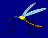 Desenho Mosquito pintado por mayara