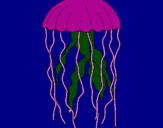 Desenho Medusa pintado por mayara
