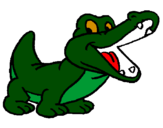 Desenho Crocodilo pintado por paola