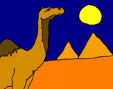 Desenho Camelo pintado por caroline