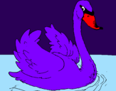 Desenho Cisne na água pintado por analuiza