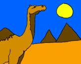 Desenho Camelo pintado por Eduardo