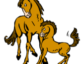 Desenho Cavalos pintado por aline