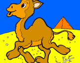 Desenho Camelo pintado por analuiza
