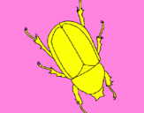 Desenho Escaravelho pintado por analuiza
