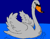 Desenho Cisne na água pintado por lucas