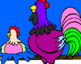 Desenho Galo e galinha pintado por Galo bonito