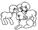 Desenho Ovelhas pintado por fernanda
