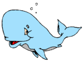 Desenho Baleia envergonhada pintado por baleinha fofa