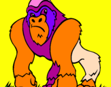 Desenho Gorila pintado por matheus