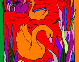 Desenho Cisnes pintado por balat
