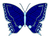 Desenho Borboleta  pintado por borboleta      azul