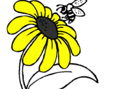 Desenho Margarida com abelha pintado por eu