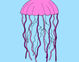Desenho Medusa pintado por pulpo